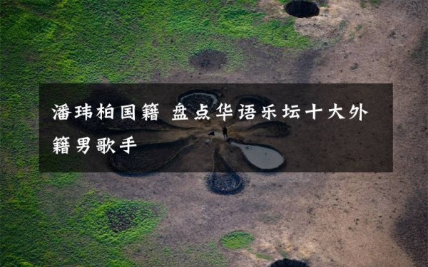 潘玮柏国籍 盘点华语乐坛十大外籍男歌手文章配图