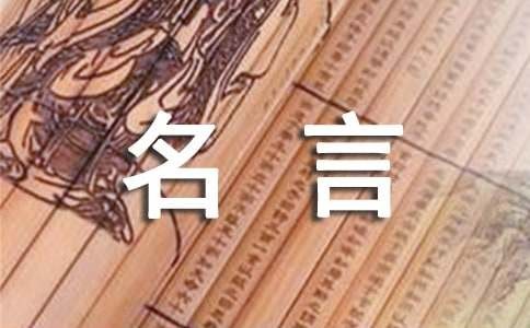 娱乐明星的名言