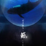 化身孤岛的鲸