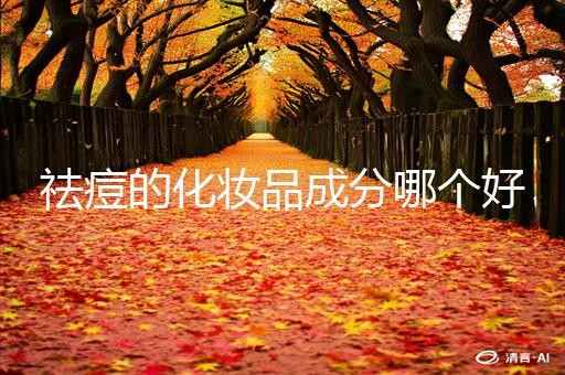 祛痘的化妆品成分哪个好
