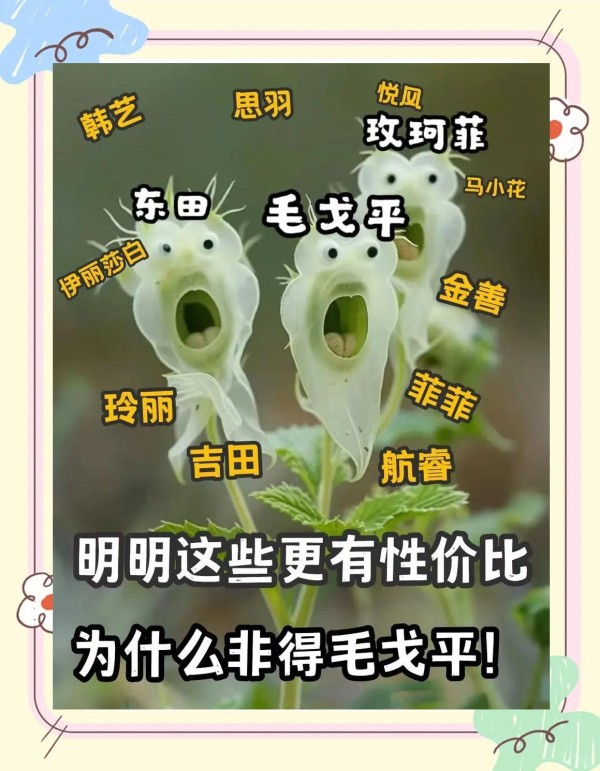 化妆学校选择指南：避免入坑的实用技巧