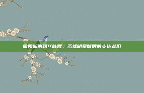 詹姆斯的粉丝阵营:篮球明星背后的支持者们