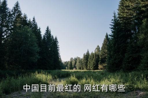 中国目前最红的 网红有哪些