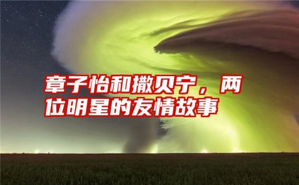 章子怡和撒贝宁，两位明星的友情故事