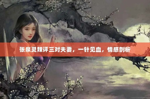 张泉灵辣评三对夫妻，一针见血，情感剖析
