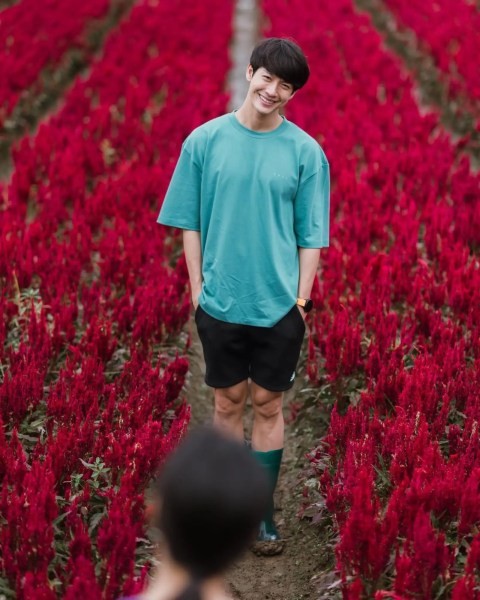 著名的泰国旅游景点清迈梅林县的“I love flower Farm”,引来泰国明星Push打卡拍照(图片来源:Yaya官方IG)
