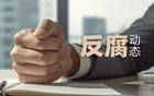 中纪委打虎！59岁副省长、省公安厅厅长叶寒冰落马