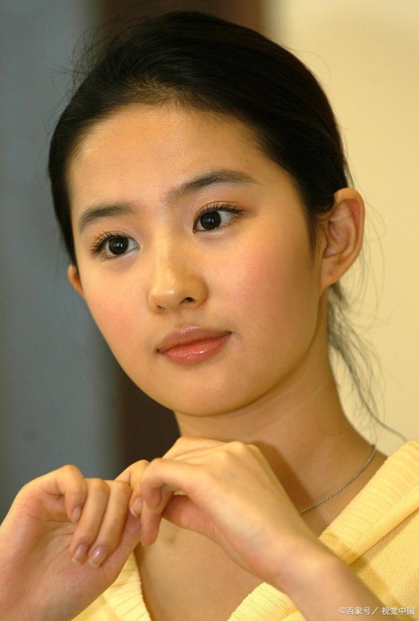 仙女姐姐；刘亦菲出道心酸经历