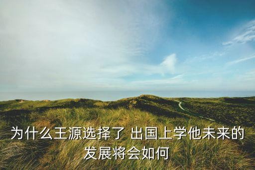 为什么王源选择了 出国上学他未来的发展将会如何
