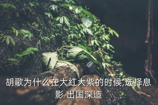 胡歌为什么在大红大紫的时候,选择息影 出国深造