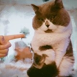 西一凹