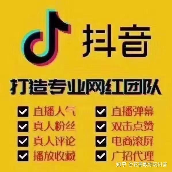 抖音网红西红柿饭_网红西红柿饭怎么做_抖音网红西红柿焖饭