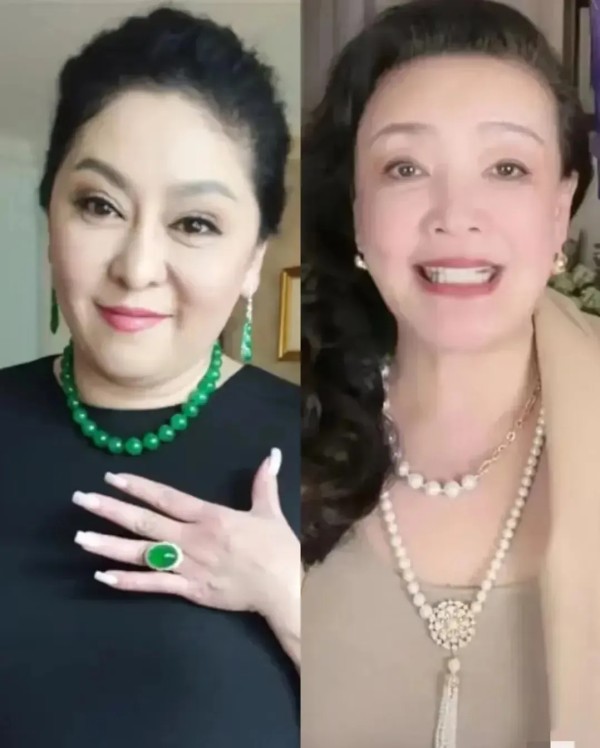 番茄助手：张兰与向太的带货生涯，财富危机下的明星转型揭秘