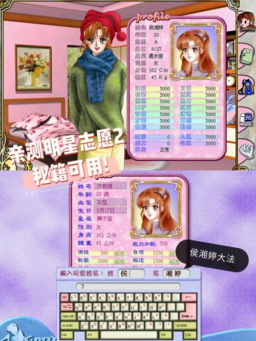 明星志愿3秘籍指南，快速升级，打造顶级明星！