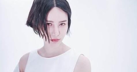 娱乐圈有哪些明星是真学霸？他们是真的很低调