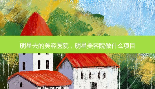 明星去的美容医院,明星美容院做什么项目-第1张图片-一诺整形网