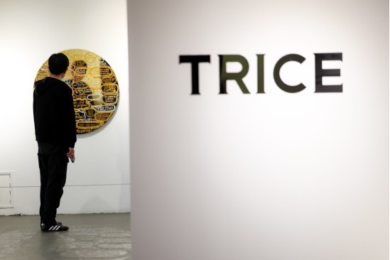 visitor observing a circular artwork titled trice in an art gallery