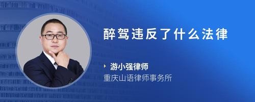 醉驾违反了什么法律