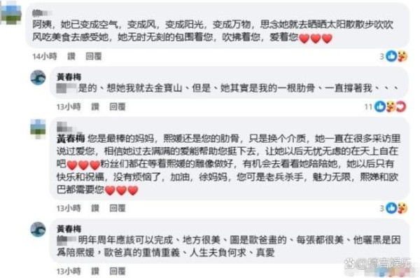 S妈说具俊晔晒黑是因为陪大S 展现真挚家庭情感