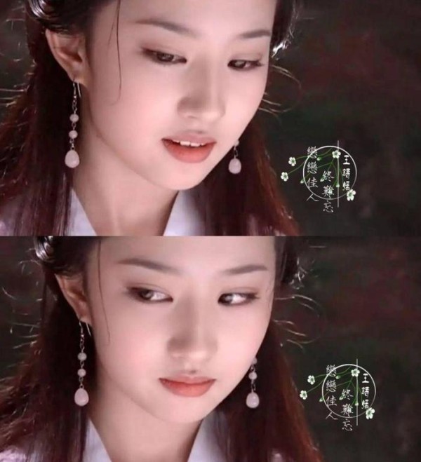 娱乐圈公认标志美人脸 刘诗诗王丽坤也在你服气吗？