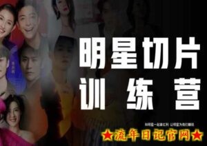 王子·明星切片线上训练营（2023），和明星一起拿红利，让明星为我们赚钱-流年日记