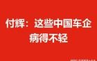 付辉：这些中国车企病得不轻