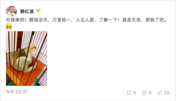 屏幕快照 2019-04-30 上午7.47.21.png