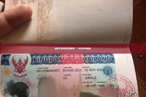 加拿大买房签证流程图 - 一站式购房指南