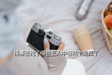 杨幂签约了哪些艺人中哪两个走红了