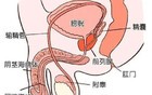我怀疑你在炫耀，但又没有证据…（划重点）！
