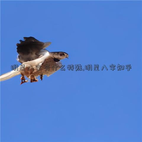 明星八字有什么特殊,明星八字知乎
