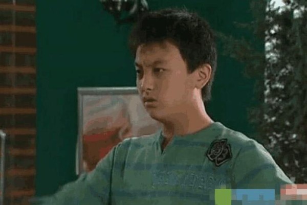 《家有儿女》隐藏了多少明星？赌你只能认出马可！