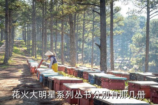 花火大明星系列丛书分别有那几册