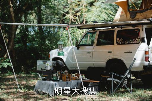 明星大搜集