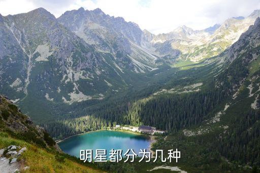 明星都分为几种