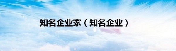 知名企业家（知名企业）