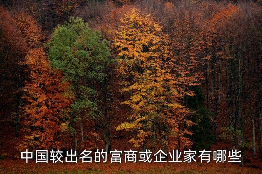 中国知名企业家，中国较出名的富商或企业家有哪些