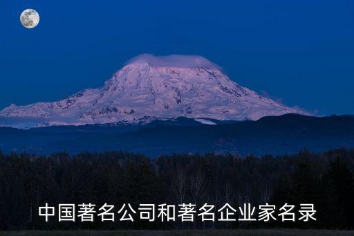 中国著名公司和著名企业家名录