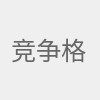 竞争格局