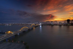 谁给那英报的名