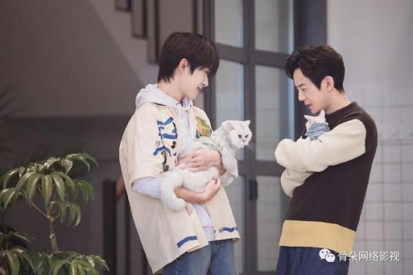 《朋友请听好》：慢综艺的“情感共振”如何回归？
