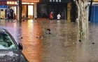 武汉发布暴雨临灾警报！武大校门被淹一米深