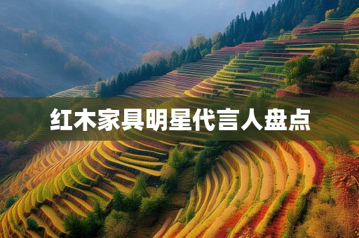 红木家具明星代言人盘点
