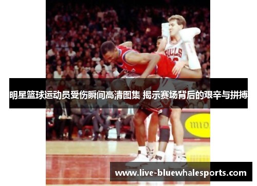 明星篮球运动员受伤瞬间高清图集 揭示赛场背后的艰辛与拼搏