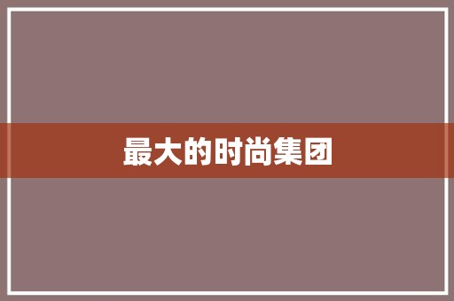 最大的时尚集团