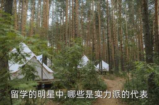 留学的明星中,哪些是实力派的代表