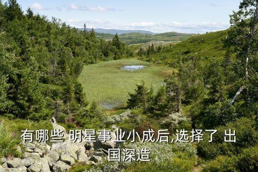 有哪些 明星事业小成后,选择了 出国深造