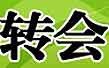 足球_视频