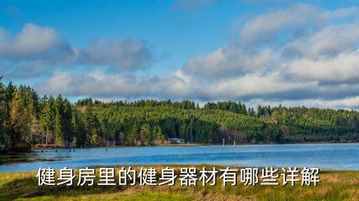 健身房里的健身器材有哪些详解