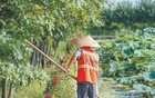 用光影记录乡村全面振兴新画卷（新时代画卷）